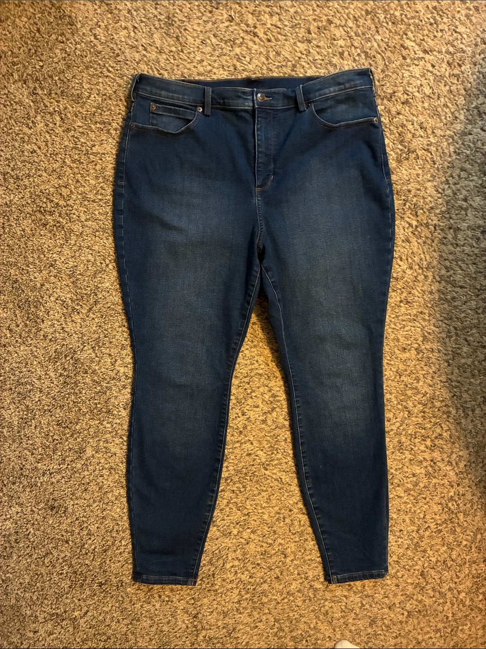 Women’s Duluth high rise skinny jeans in a dark wash -size 18